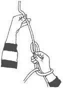 Bowline step 15