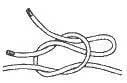 Draw Loop step 1