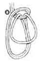 Ring Harness