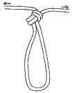 Overhand Knot step 15