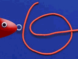 Taut-Line Hitch step 3