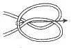 Butterfly Mid-Loop step 3