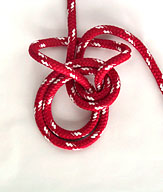 Palomar Knot