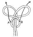 Spanish Bowline step 9