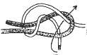 Figure Eight Knot step 45