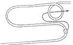 Marlinspike Hitch step 18
