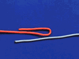 Taut-Line Hitch step 6