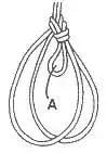 Portuguese Bowline step 12