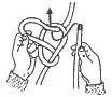Bowline step 19