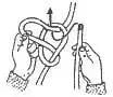 Bowline step 39