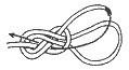 Figure Eight Knot step 10