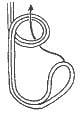Overhand Loop step 14