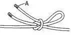 Draw Loop step 2