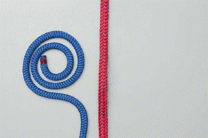 Double Dragon Loop