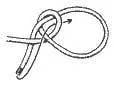 Bowline step 4