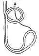 Portuguese Bowline