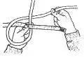 Sheet Bend step 5