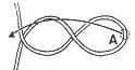 Butterfly Mid-Loop