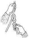 Bowline step 21
