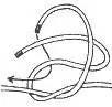 Draw Loop