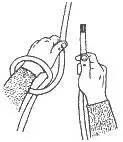Bowline step 17