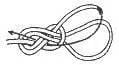 Figure Eight Knot step 23