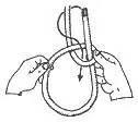 Bowline step 9