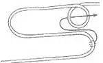 Sheepshank